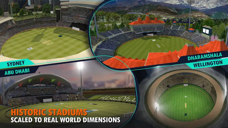 Real Cricket 24 Mod Apk